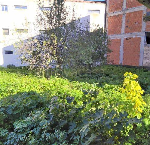 immagine annuncio 3 di 6