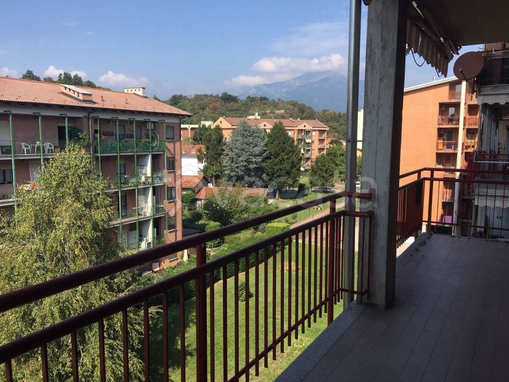 immagine annuncio 14 di 15