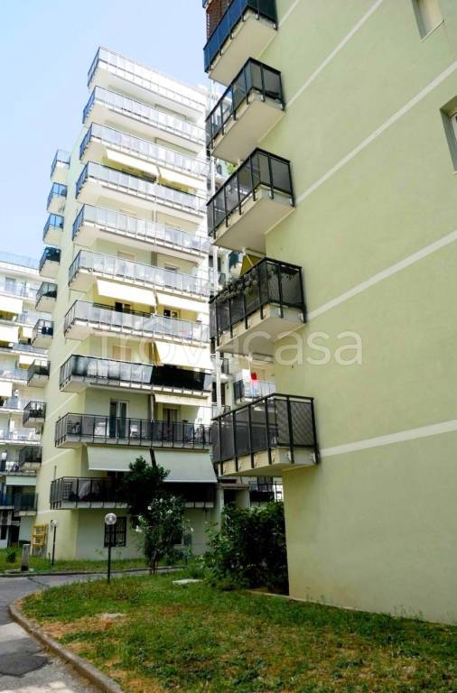 immagine annuncio 2 di 7