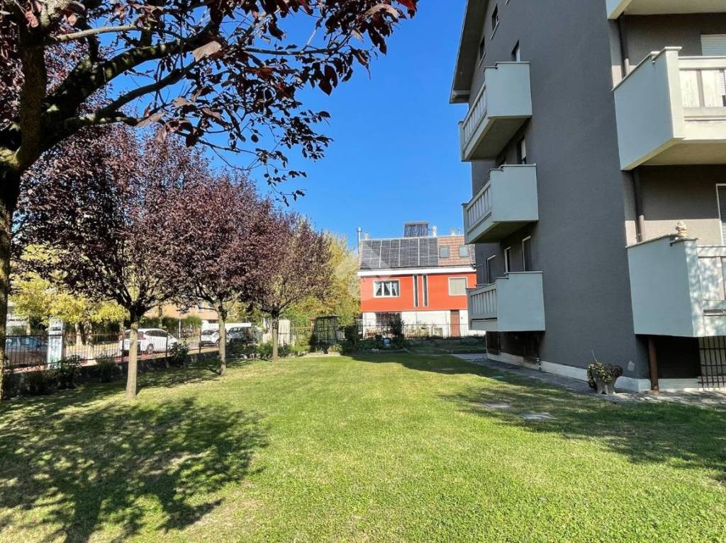 immagine annuncio 6 di 11