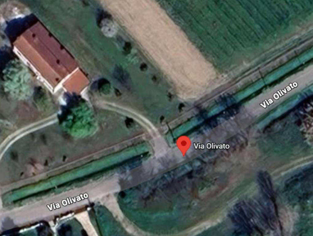 immagine annuncio 10 di 11