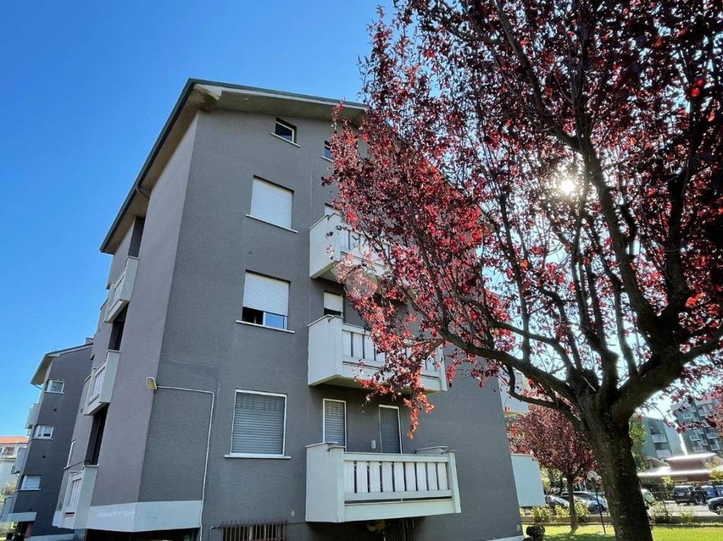 immagine annuncio 7 di 11