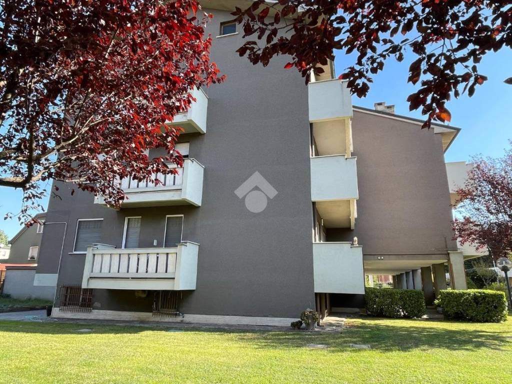 immagine annuncio 5 di 11