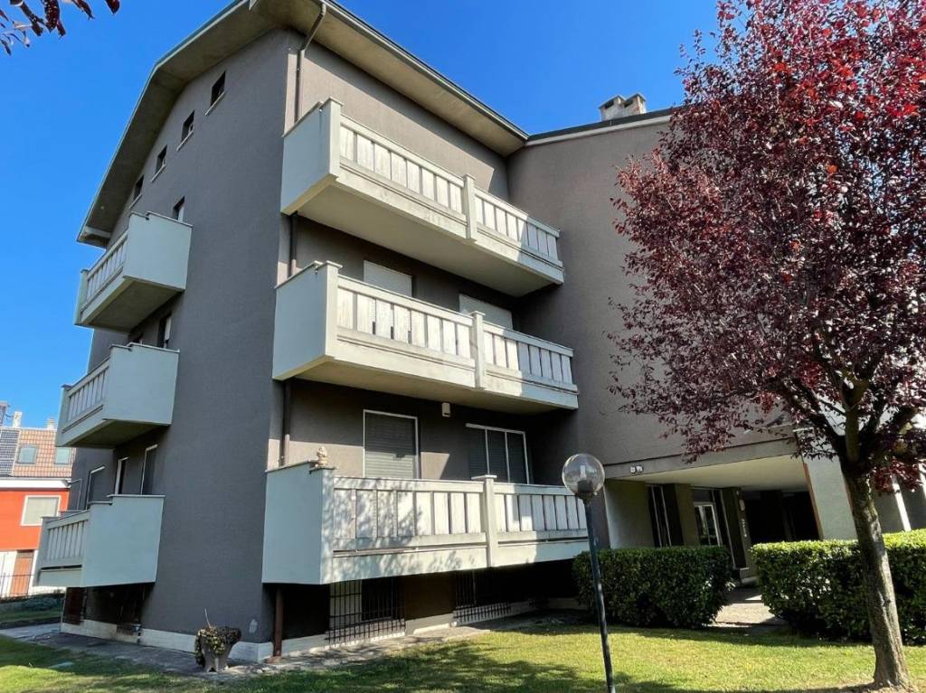 immagine annuncio 9 di 11