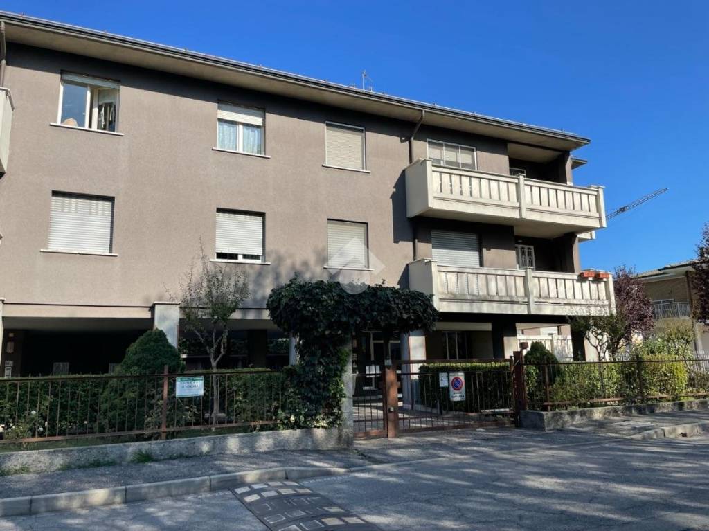 immagine annuncio 8 di 11