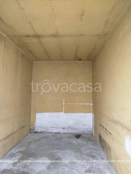 immagine annuncio 9 di 14