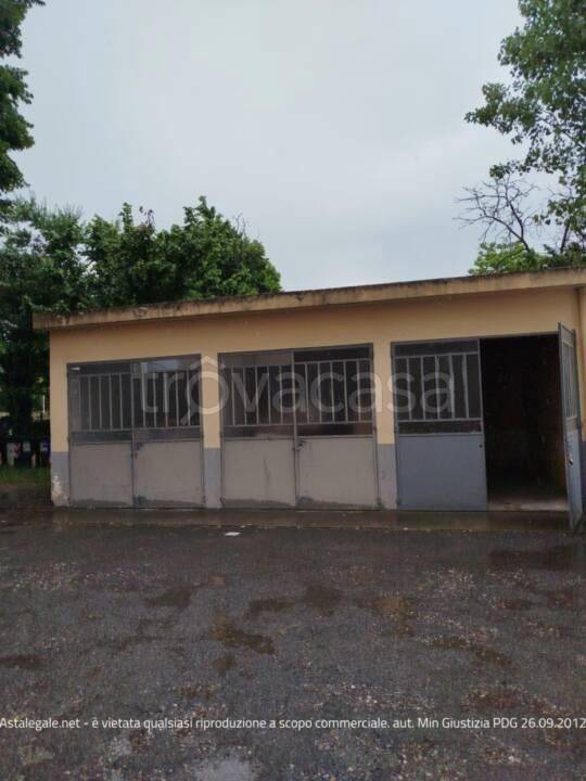 immagine annuncio 10 di 14