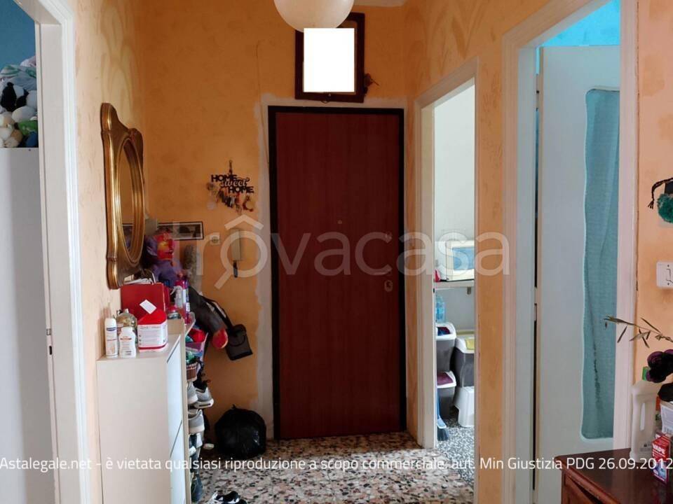 immagine annuncio 11 di 14