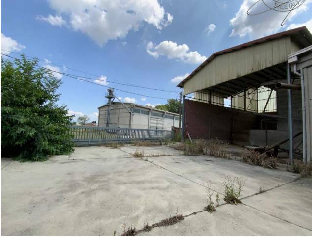 immagine annuncio 10 di 14