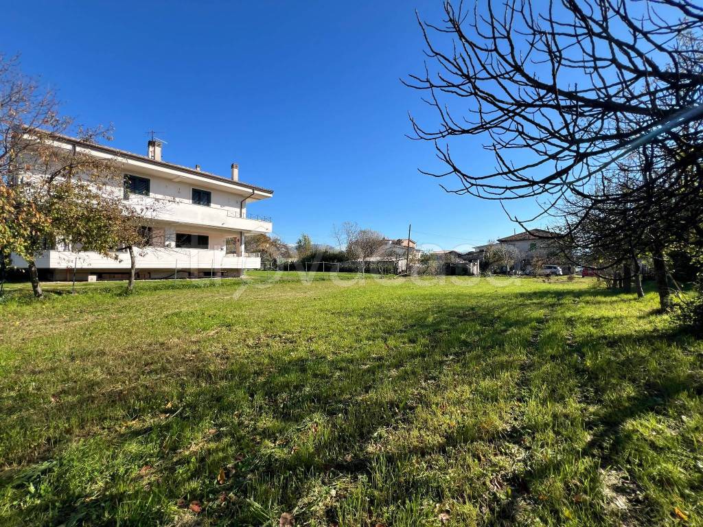 immagine annuncio 1 di 6