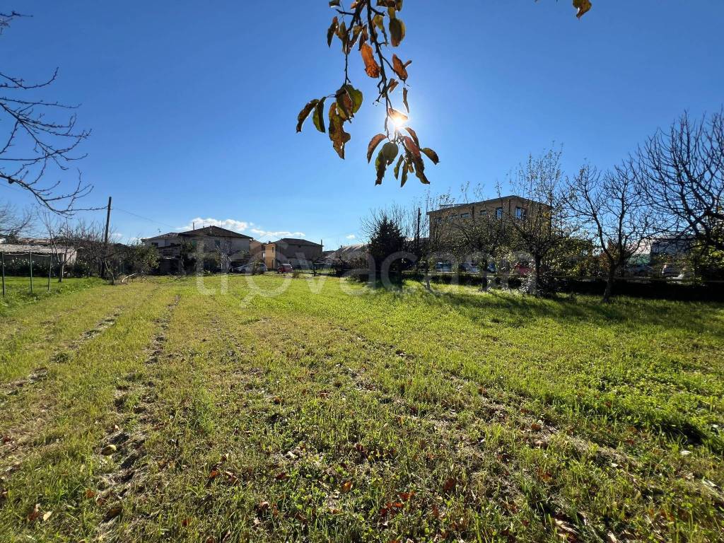 immagine annuncio 3 di 6