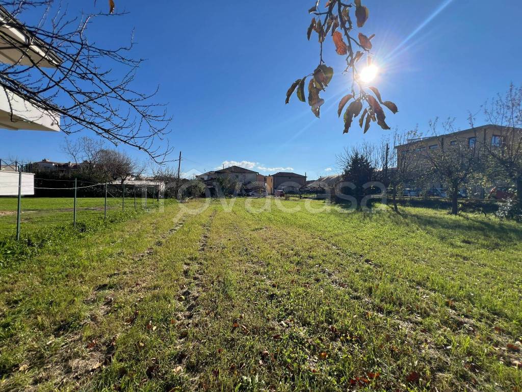 immagine annuncio 4 di 6