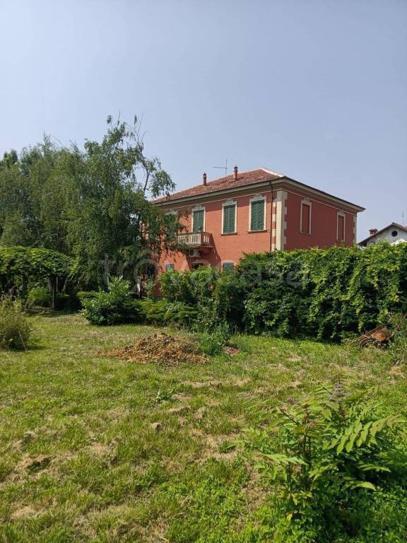 immagine annuncio 11 di 15