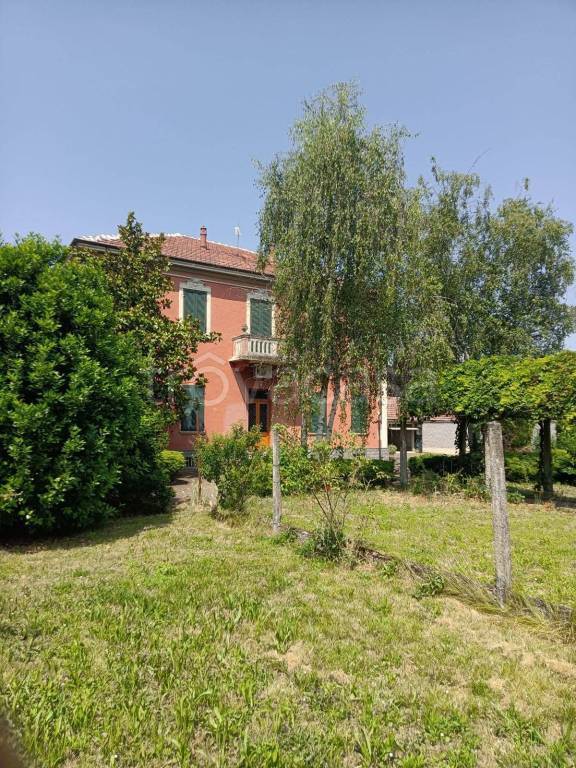 immagine annuncio 12 di 15