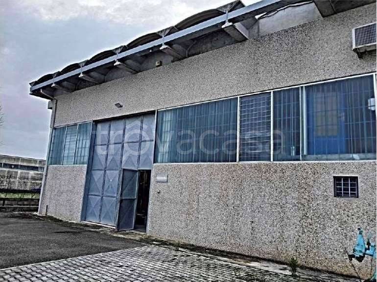 immagine annuncio 3 di 14