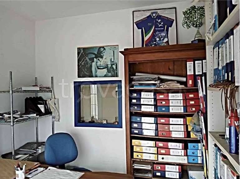 immagine annuncio 9 di 14