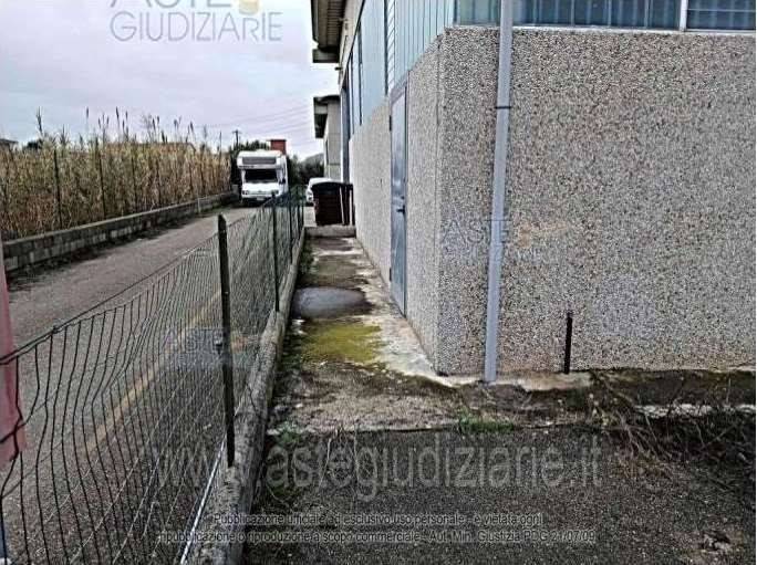 immagine annuncio 10 di 14