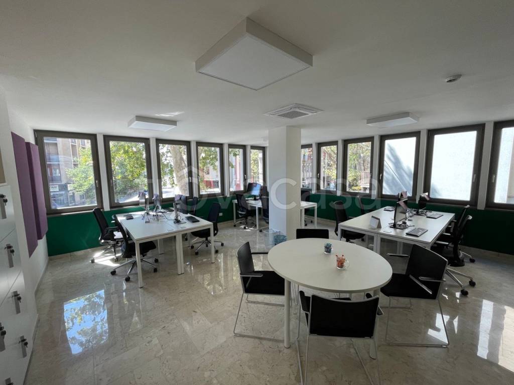 immagine annuncio 4 di 12