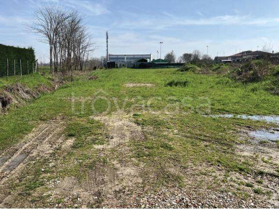 immagine annuncio 2 di 8