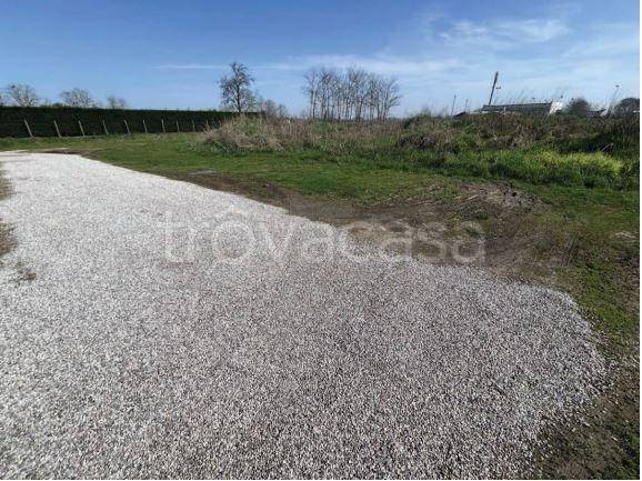 immagine annuncio 4 di 8