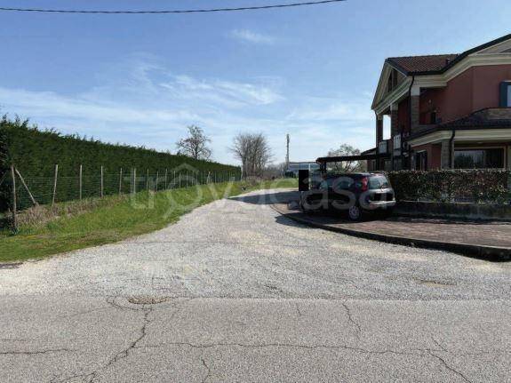 immagine annuncio 5 di 8