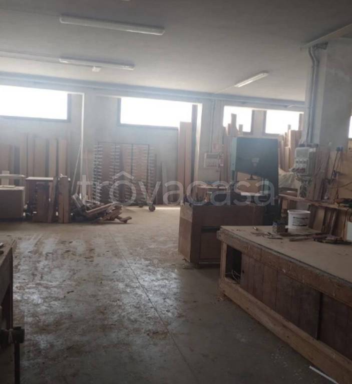 immagine annuncio 4 di 13