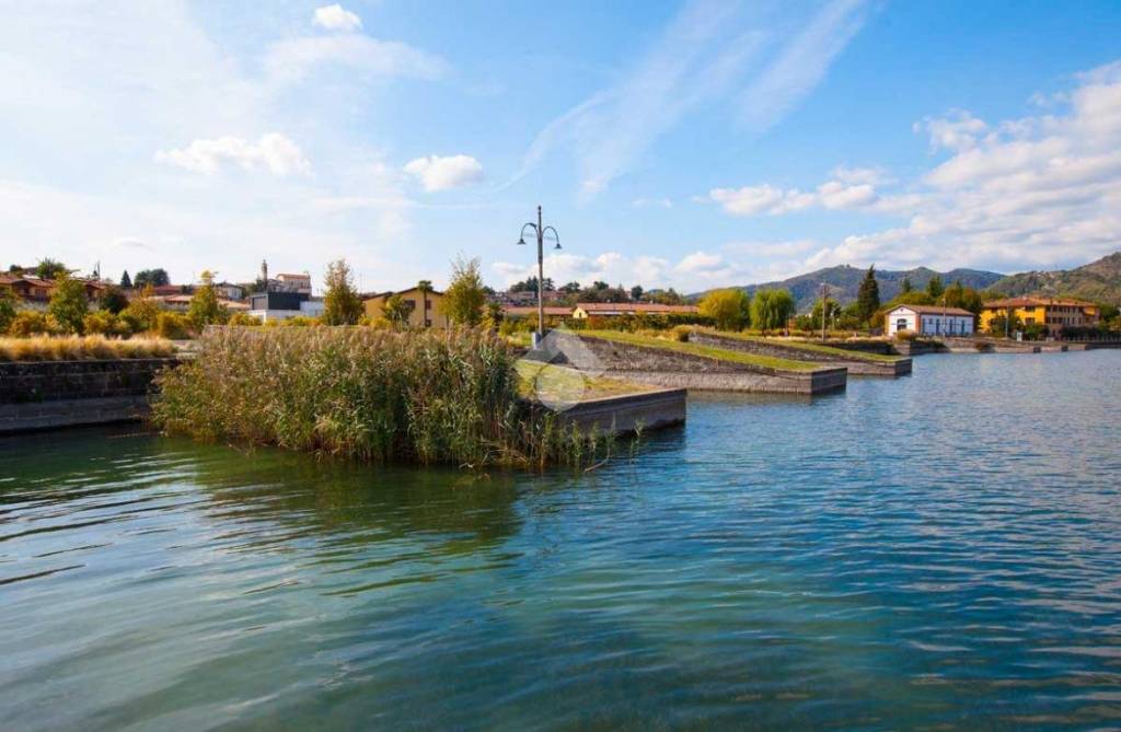 immagine annuncio 3 di 7