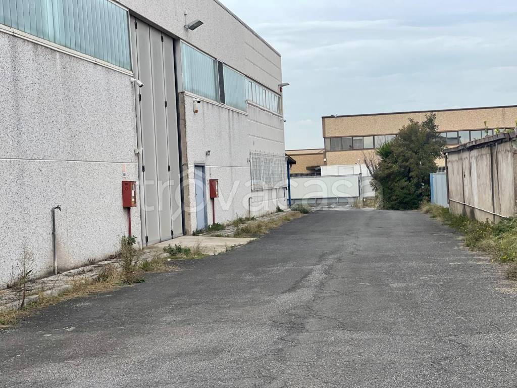 immagine annuncio 10 di 15