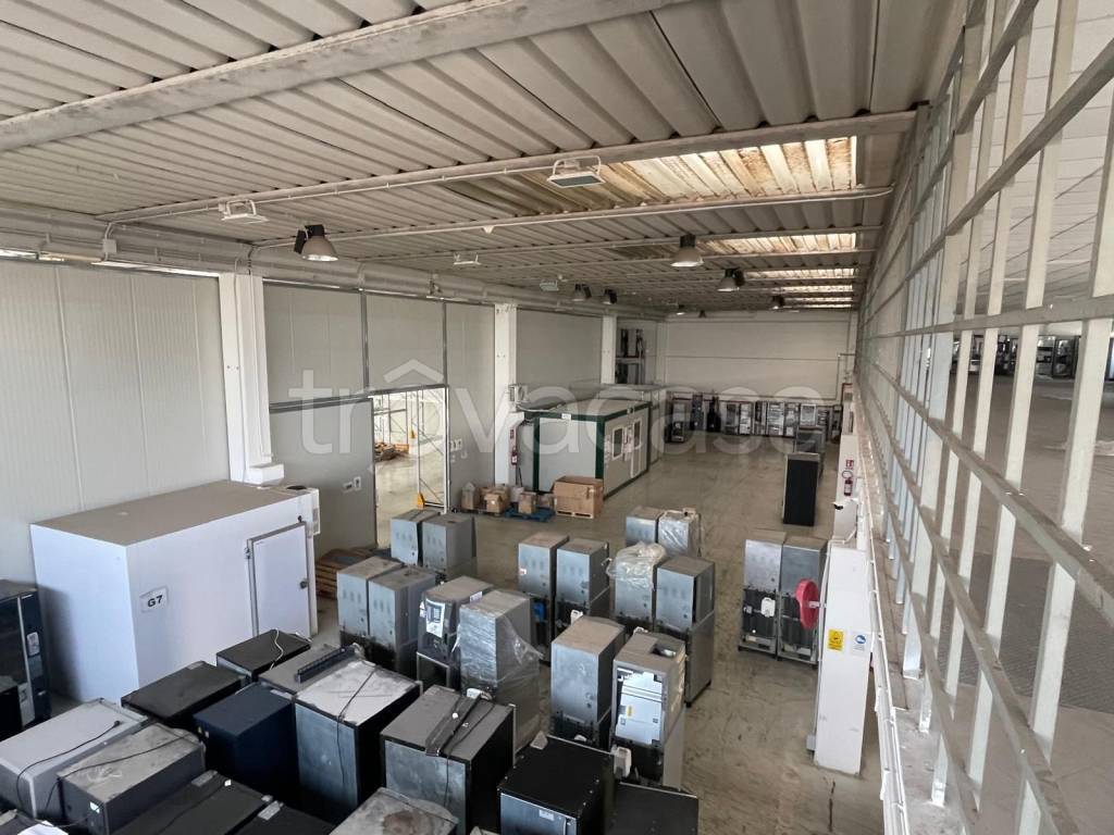 immagine annuncio 11 di 15