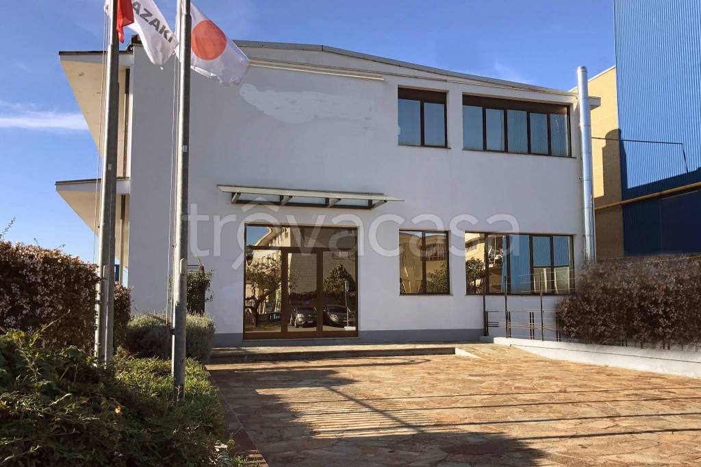 immagine annuncio 1 di 12