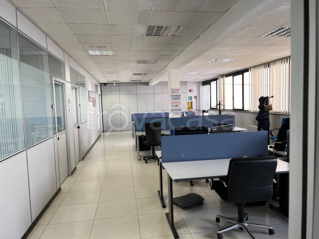 immagine annuncio 4 di 12