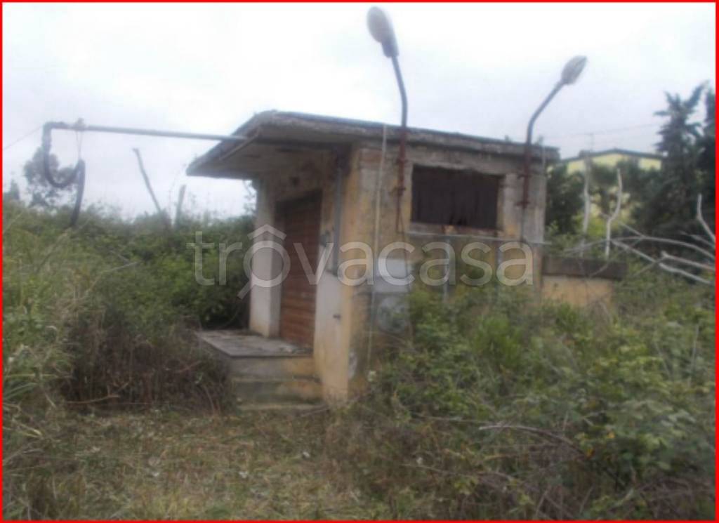 immagine annuncio 9 di 12