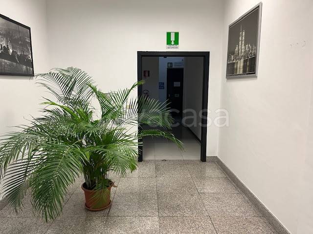 immagine annuncio 11 di 12