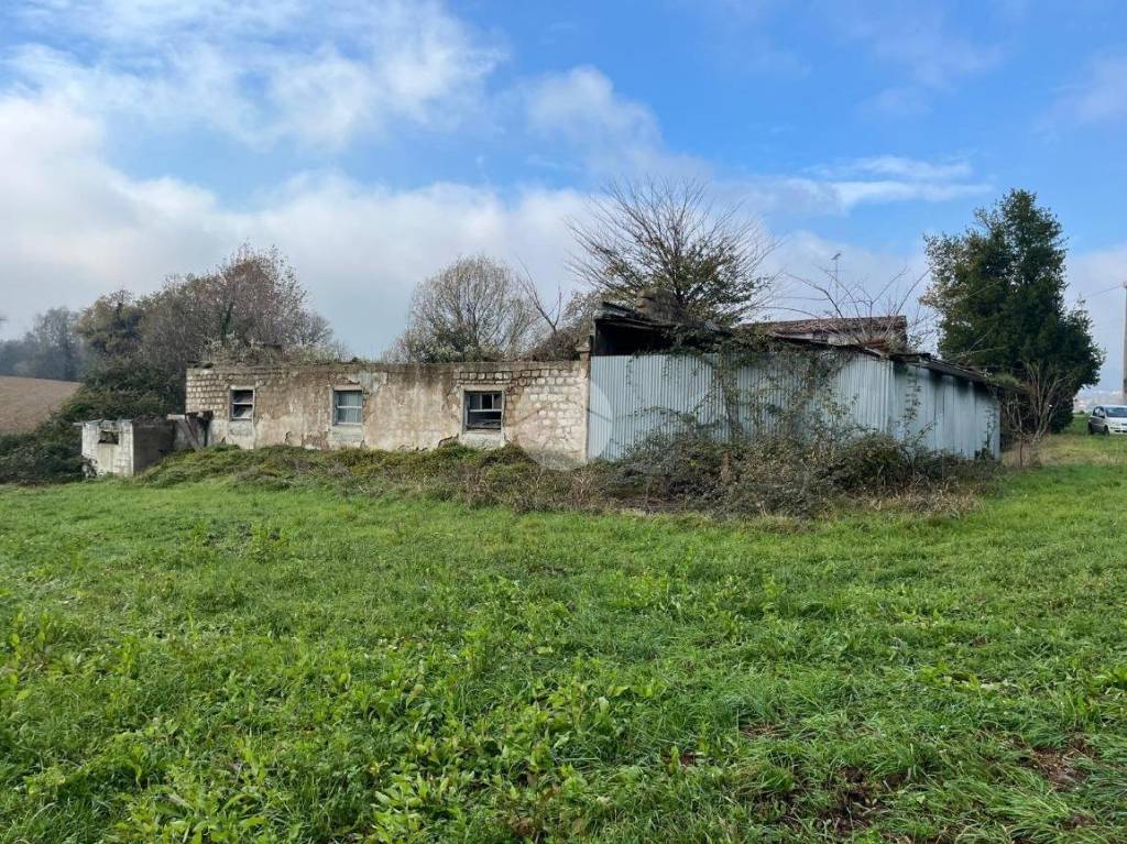 immagine annuncio 4 di 11