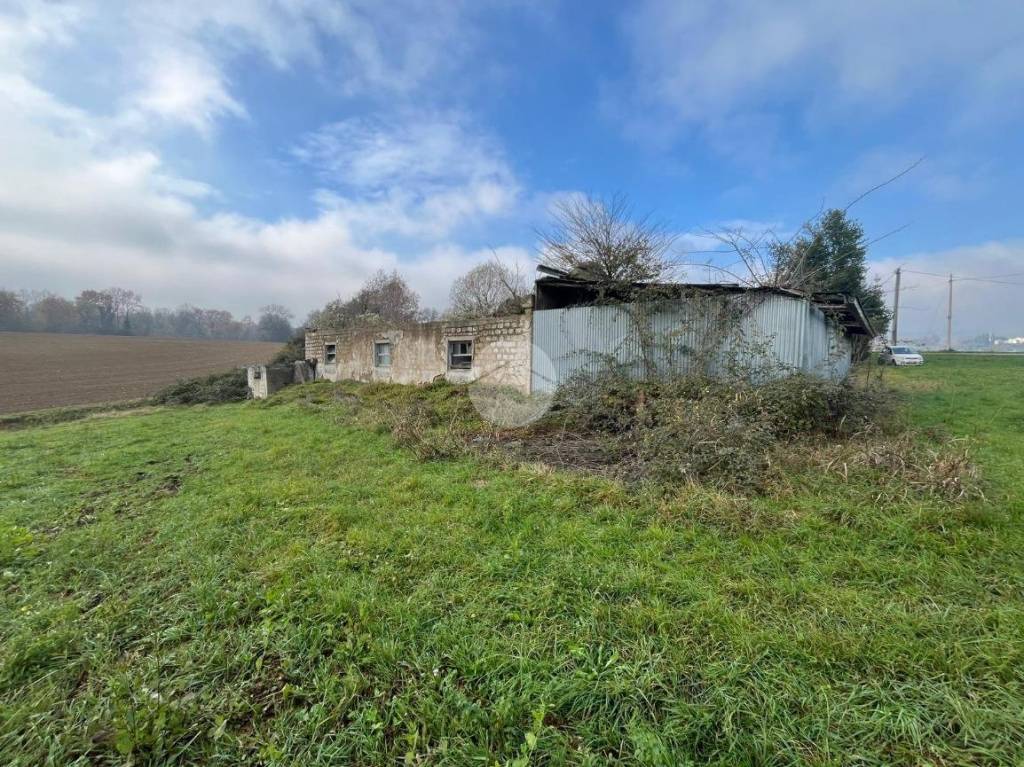 immagine annuncio 8 di 11