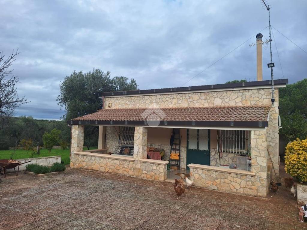 immagine annuncio 7 di 8