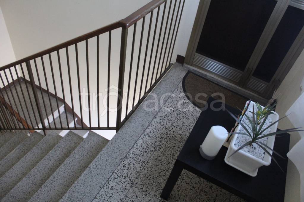 immagine annuncio 7 di 13