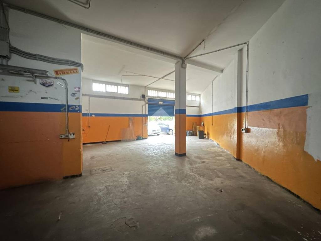 immagine annuncio 1 di 13