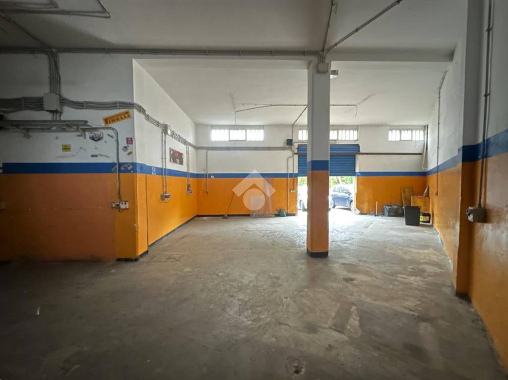 immagine annuncio 2 di 13