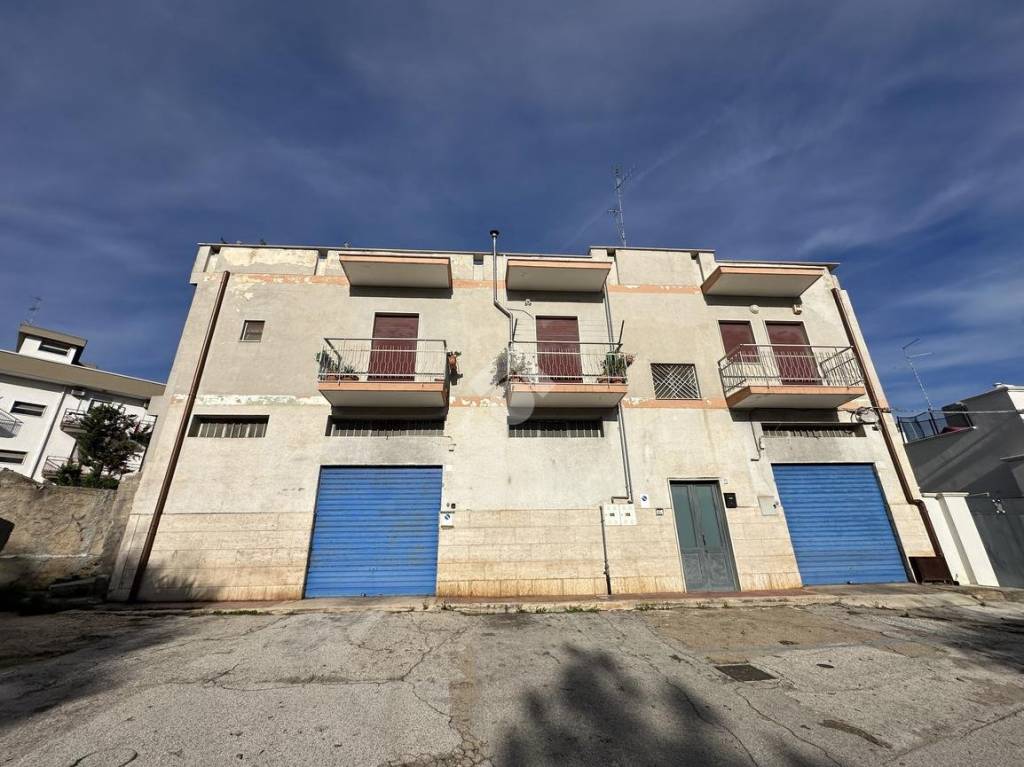 immagine annuncio 12 di 13