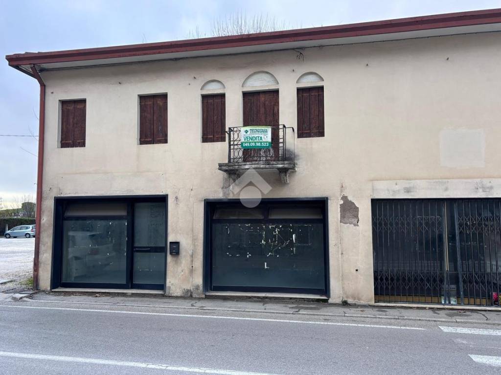 immagine annuncio 11 di 12