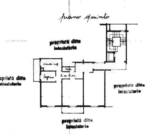 immagine annuncio 14 di 15