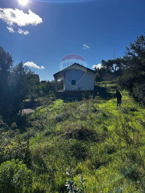 immagine annuncio 6 di 8