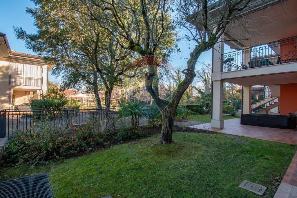 immagine annuncio 11 di 15