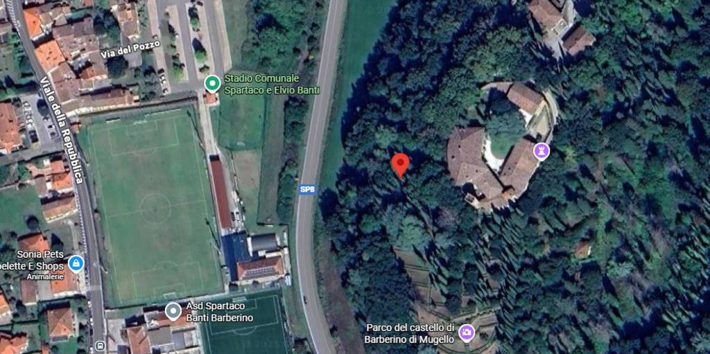 immagine annuncio 2 di 11