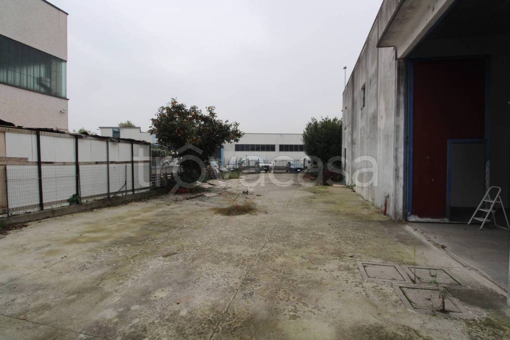 immagine annuncio 2 di 15