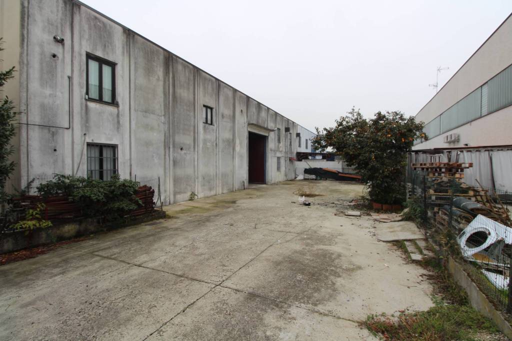 immagine annuncio 1 di 15