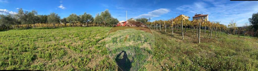 immagine annuncio 2 di 6