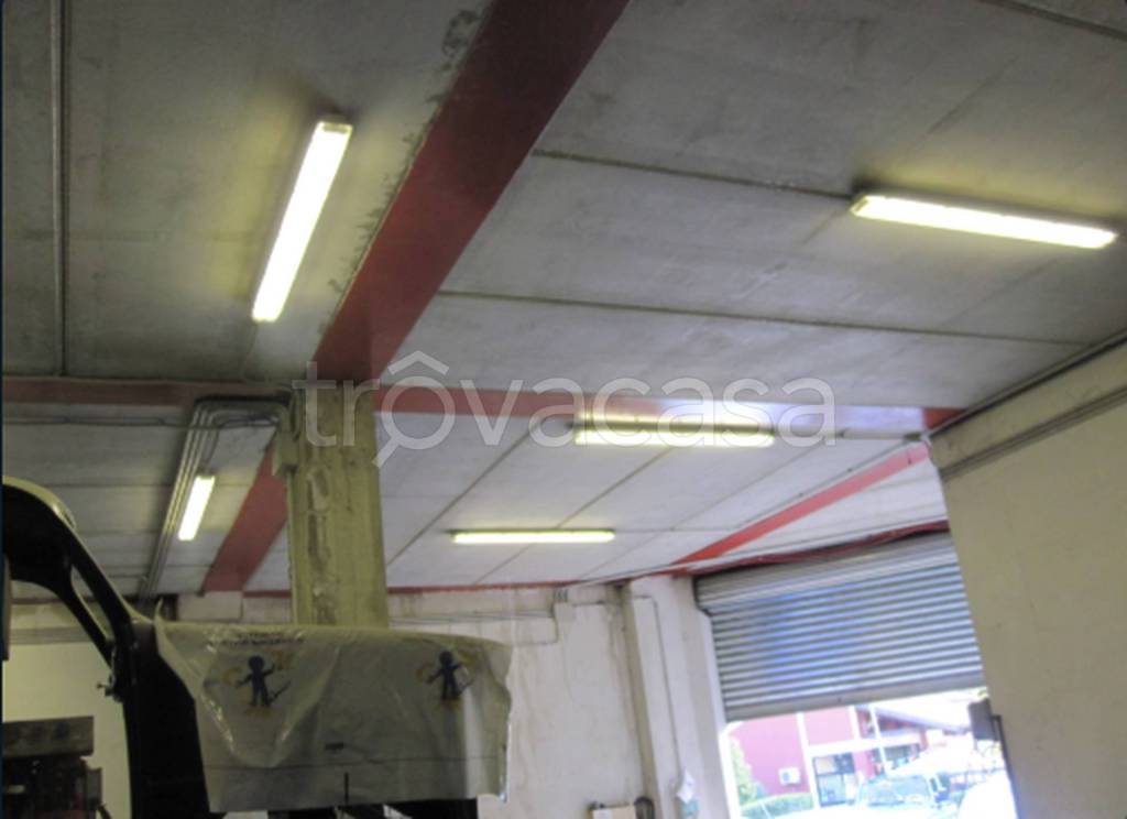 immagine annuncio 2 di 11