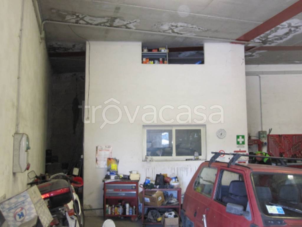 immagine annuncio 6 di 11